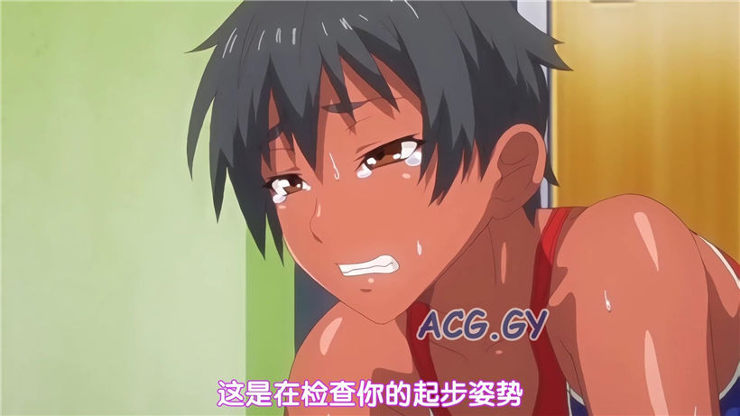 [ピンクパイナップル] 指導姦 Day after THE ANIMATION 第2巻