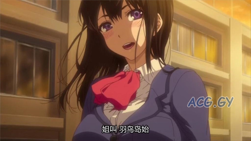 [Queen Bee] ハーレム・カルト 1 side HAREM[宇場義行]