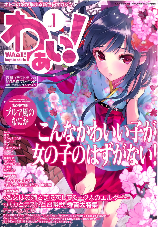 女装少年杂志 わぁい！ WaaI ! 伪娘大全 打包下载 [214M]