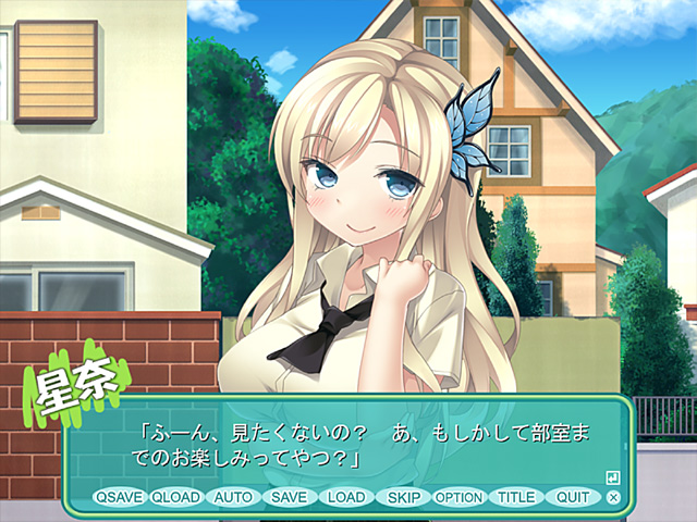 (C81)[Grand Cross] 星奈プラス （我的朋友很少）同人游戏