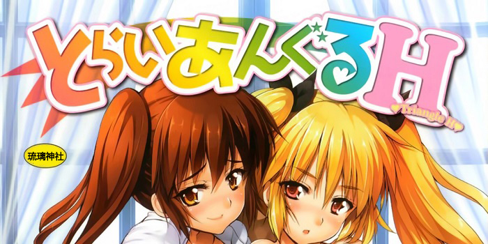 [武内一真] とらいあんぐるH