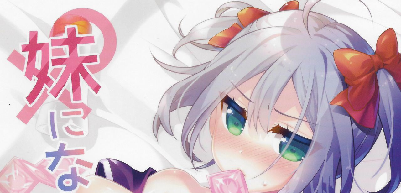 (C90) [音速エビフライ (レゥ)] 可愛い弟はお兄ちゃんの為に妹になるべき!